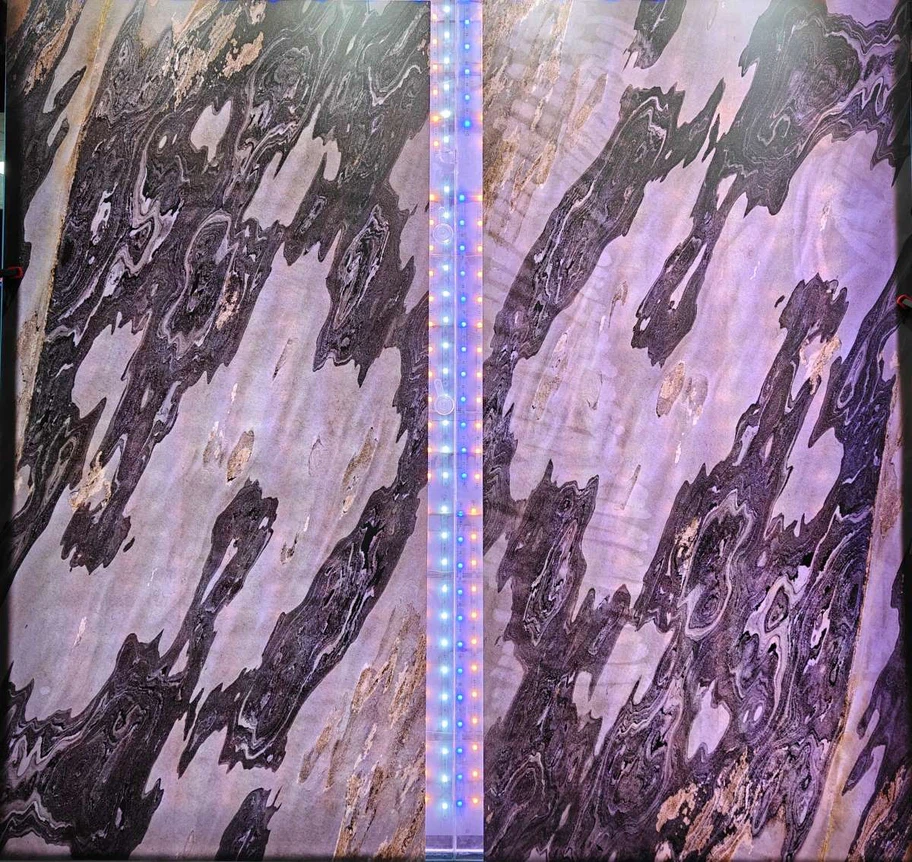 20260403090941131420 20260403090941131420