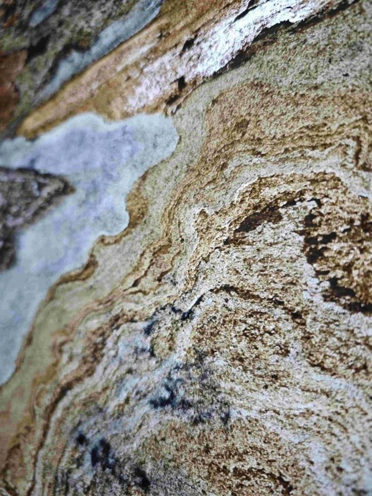 thin slate veneer panels